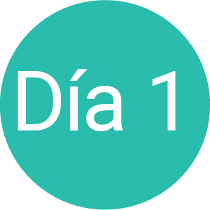 ico dia1